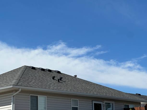 Best Metal Roofing Installation  in Bellevue, PA